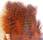 ����� ������� quinea hackle hot orange  N. Spirit